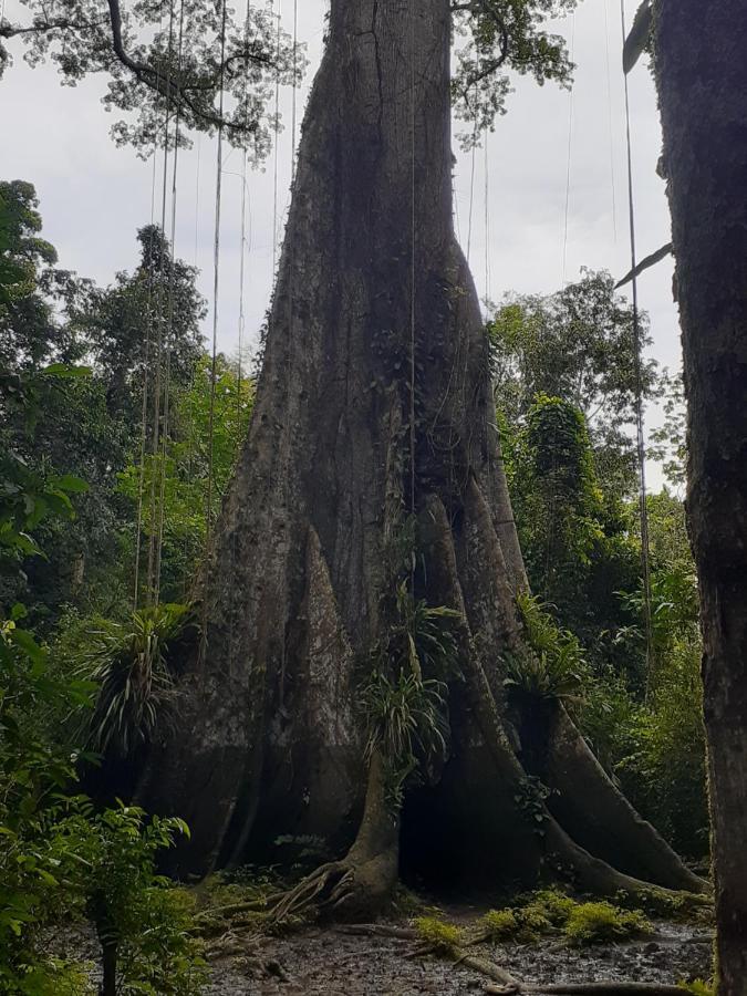 Tropical Adventures & Expeditions San Pedro  Exterior photo